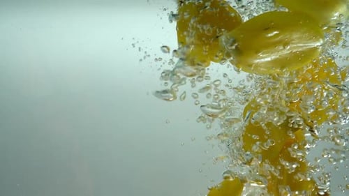 Petals of Tulips Fall in Water