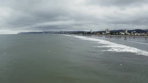 Coastal City Beach with Waves and Birds