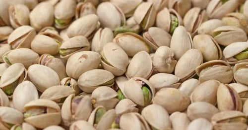Pile of Fresh Pistachios in Shells Close Up