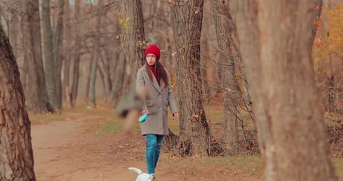 Puppy Runs Along the Path, the Mistress Walks the Pet on a Leash. Walk in the Forest.