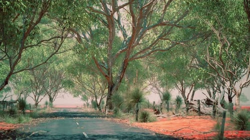 Open Road in Australia with Bush Trees