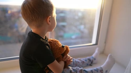 Boy on Window Seat Looking Out with Bear