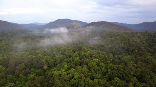 Aerial 4k footage from a drone above a tropical rain forest in Thailand.