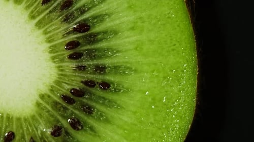 Macro View of Kiwi Slice Rotation on Black Background. Extreme Closeup of Green Juicy Texture with