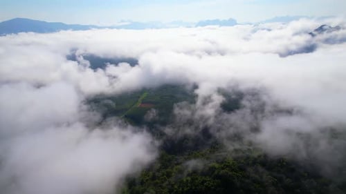 An aerial view from a drone flying over the many fogs in the mountains