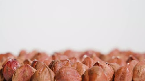 Macro Shot of Group of Hazelnuts on White