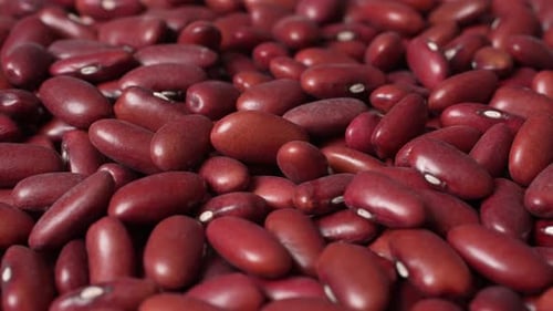 Pile of Shiny Red Kidney Beans Close Up