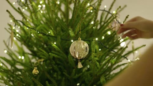 Boule de Noël sur un arbre