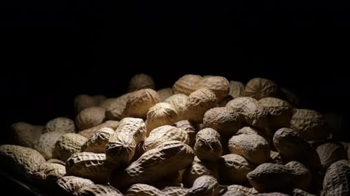Pile of Peanuts in Shells Close-up