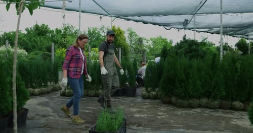 Gardeners Walking in Nursery Garden