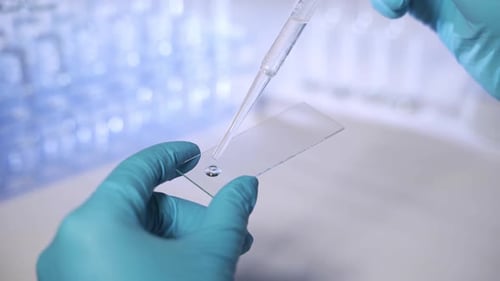 Un scientifique prépare un échantillon pour la microscopie