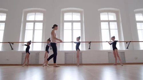 Professional Ballerina Teaching Girls in Ballet School