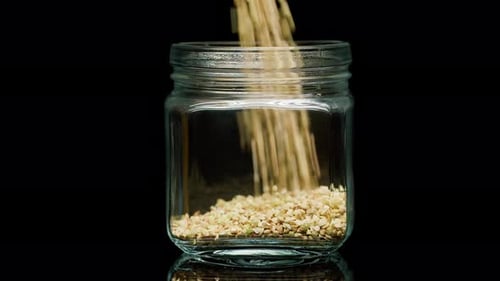 Closeup of Falling Down Green Buckwheat Into Glass Jar on Black Background
