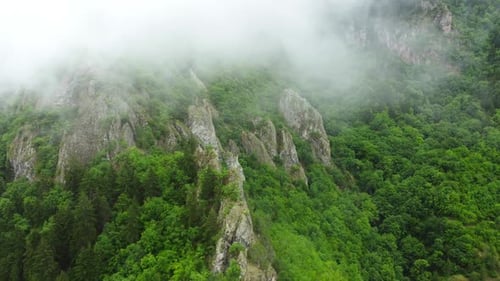 Clouds Over Beautiful Summer Mountains Green Forest Magical Natural Morning Fog Nature Landscape