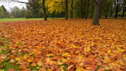 Otoño