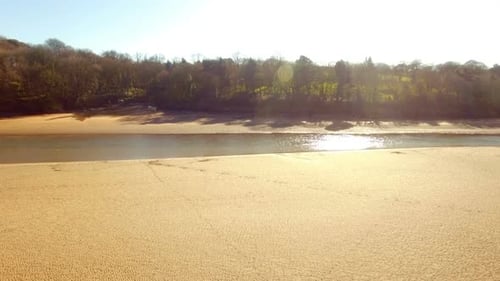 View of beautiful seashore and trees