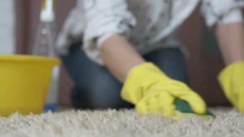 Carpet cleaning.