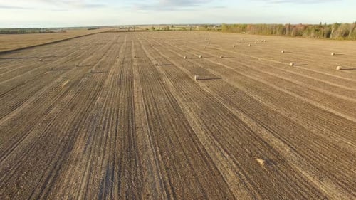 Aerial view of a harvested field and large round bales of straw with drone flying backwards. Straigh