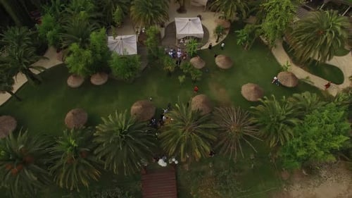 Tropical Wedding Celebration in Lush Garden Setting