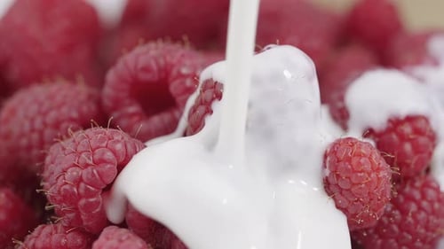 Verser des framboises fraîches juteuses dans de la crème ou du yaourt
