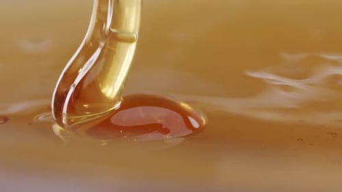 Macro close up shot of dripping honey. Seamless gold background. Soft commercial light from left and