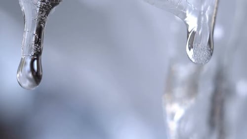 Melting Icicles with Droplets in Winter Macro Shot