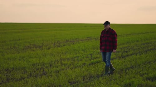 Adult Walks Through Green Rural Agricultural Field