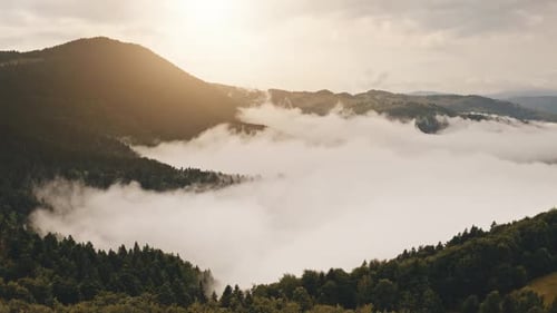 Fog Haze Over Green Highland Mountains in Countryside Wild Nature Landscape Area