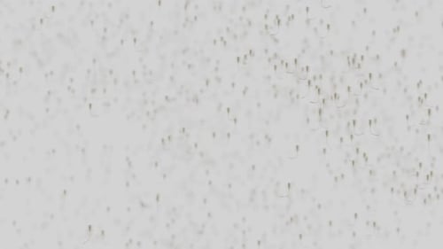 Microscopic Cell Movement Seamless Loop Biology Background