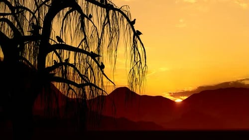 Sunset View and Birds on Dry Branches