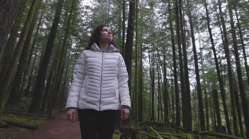Woman Looks Up in a Mossy Green Forest