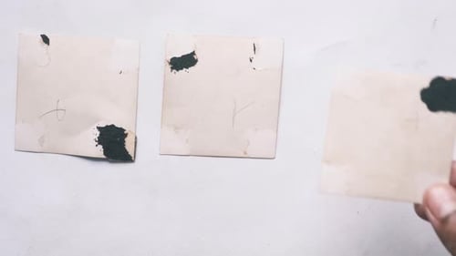 Damaged Old Photographs Lying on White Background