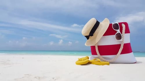 Luftbild von oben nach unten Himmel der tropischen Strandtierwelt am aquablauen Ozean und weißem Sandhintergrund o