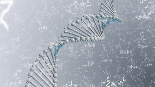 Gray Plexus Dna Formula
