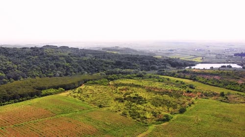 Drohnenblick über Weinberge in Richtung landwirtschaftlicher Felder bei Sonnenuntergang