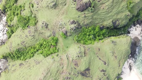 Aerial View tropical beach