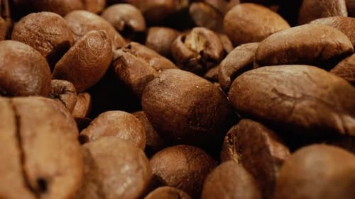 Extreme Close Up of Fresh Roasted Coffee Beans