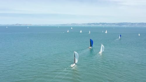 Competición de regatas de vela en las verdes aguas de la bahía de San Francisco y un soleado día de verano