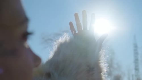 Sun on Female Hand. Silhouette of Hand Holding Sun