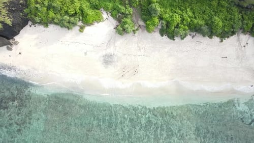 White sand beach