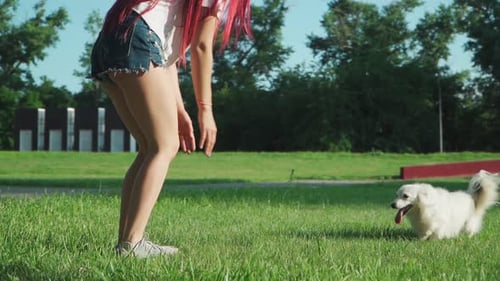Young Happy Beautiful Woman Playing with a Small Dog on a Green Lawn in a Park. Love for Pets