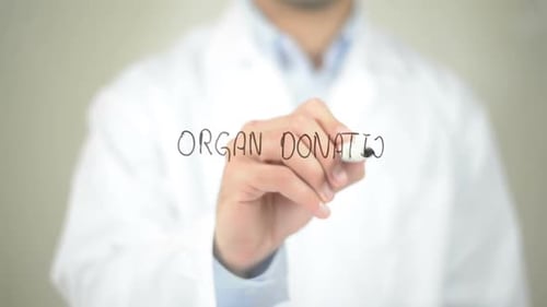 Organspende, Arzt schreibt auf transparentem Bildschirm