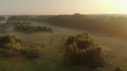 Landscape Sunrise Bright Sun Over a Misty Meadow with Trees on a Clear Morning. Natural Rural Scene
