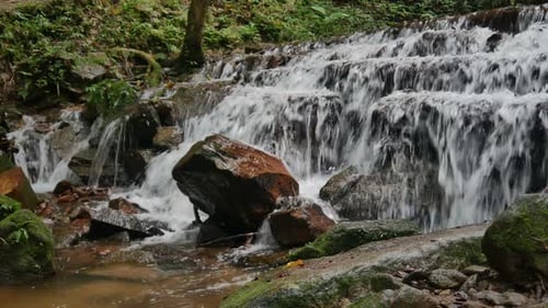 Scenic Waterfall Flowing in a Green Forest