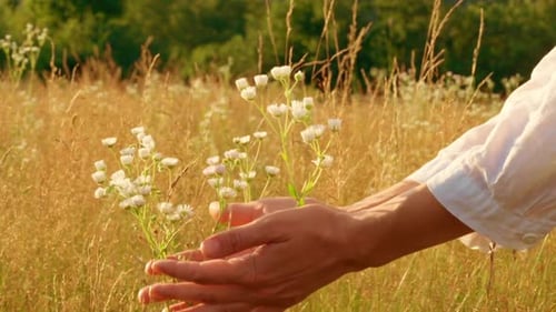 b Roll Wildflowers and Female on the Field