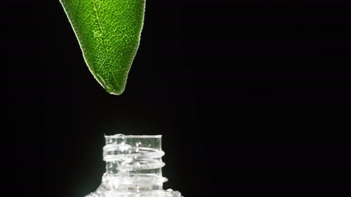 Goteando jugo de hoja en botella de aceite de planta de primer plano