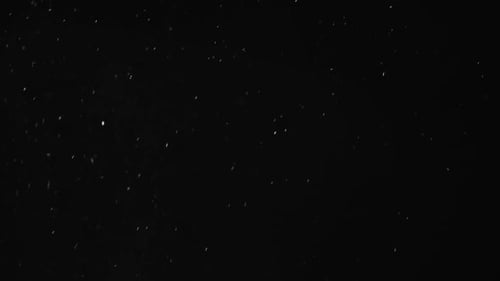 Dust Particle