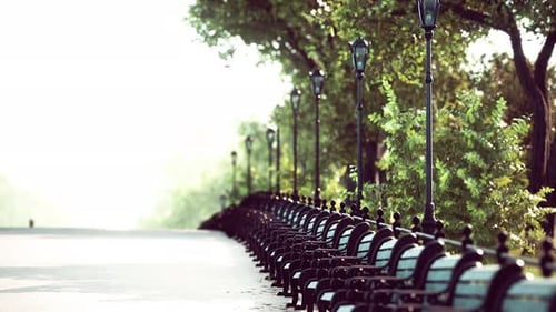 Animated Park Scene with Benches and Trees on a Sunny Day