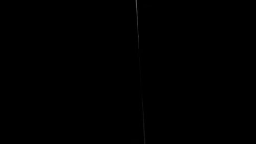 Egg Falls on a Black Background Slow Motion