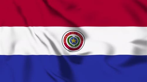 Seamless Waving Flag of Paraguay with National Emblem Animation